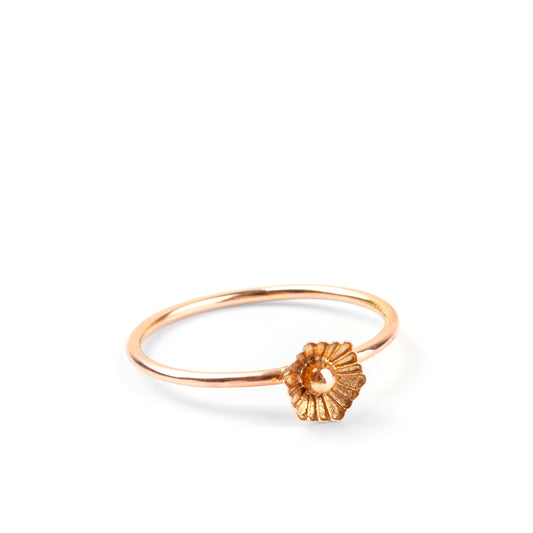 Aquaphile Ring - 9ct Gold